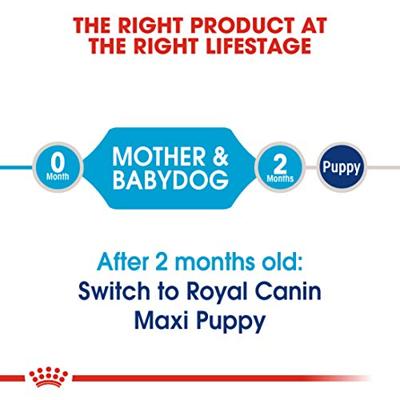 Royal Canin Maxi Starter Mother and Babydog 15 kg - thumbnail