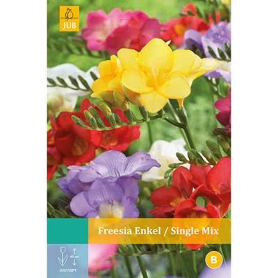Bloembollen Freesia Enkel Mix 15st