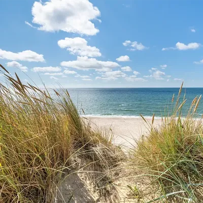 Alexsar Art Tuinschilderij duingras 50x50cm