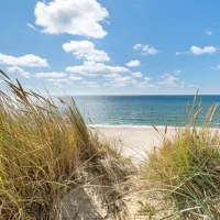 Alexsar Art Tuinschilderij duingras 50x50cm - thumbnail