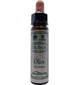 Ainsworths Olive Bach 10 Milliliter - thumbnail