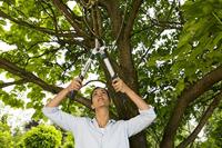 Gardena Takkenschaar EasyCut 500 B - Lichtgewicht, ErgoTec, 25 Jaar Garantie - thumbnail