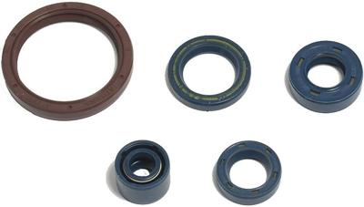 ATHENA motor-keerring set motorshield te/tc250-450,03-10,