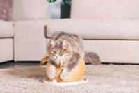 Designed by Lotte Krab+speelbol mila hout - thumbnail