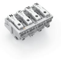 WAGO 294-8024 WAGO GmbH & Co. KG Netaansluitingsklem Flexibel: - Massief: 0.5-2.5 mm² Aantal polen: 4 500 stuk(s) Wit - thumbnail