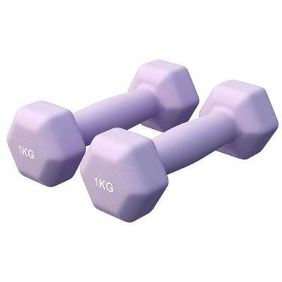 Vinyl halterset 2 x 1 kg Vinyl halterset 2 x 1 kg