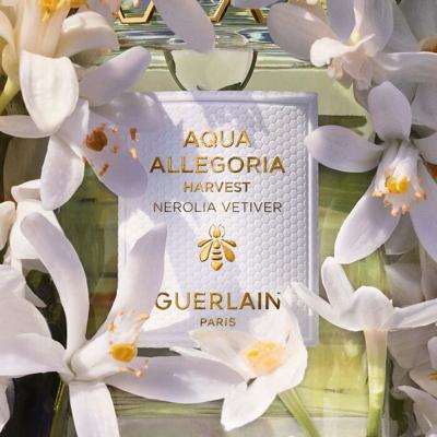Guerlain Aqua Allegoria Harvest Nerolia Vetiver 125ml