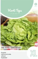 Zaden Kropsla Dikke Blonde Traagschietende Hortitops - Hortitops - thumbnail