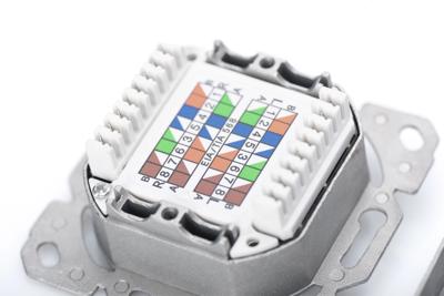 Digitus DN-9006/B5-N Netwerkdoos Opbouw (op muur) CAT 6 2 poorten Zuiver wit 5 stuk(s)