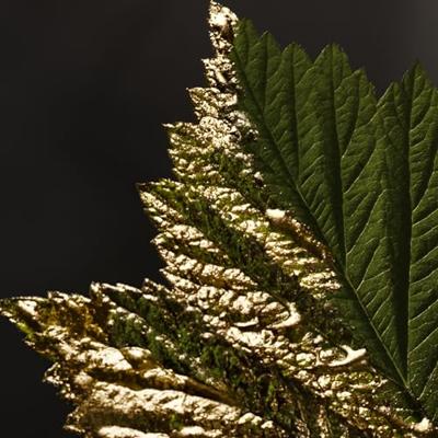 Hugo Boss Bottled Absolu Eau de Parfum 200ml Hugo Boss Bottled Absolu Eau de Parfum 200ml