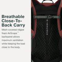 Osprey Sportlite 20 Rugtas Alkaline/Hotspot Pink One Size - thumbnail