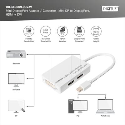 Digitus DB-340509-002-W DisplayPort-kabel DVI / HDMI / DisplayPort Adapter DisplayPort-bus, HDMI-A-bus, DVI-D 24+1-polige bus 0.20 m Wit Afgeschermd (dubbel), Digitus DB-340509-002-W DisplayPort-kabel DVI / HDMI / DisplayPort Adapter DisplayPort-bus, HDMI-A-bus, DVI-D 24+1-polige bus 0.20 m Wit Afgeschermd (dubbel),
