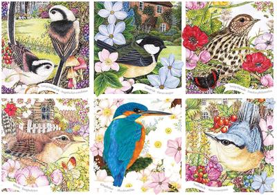 Garden Birds Puzzel 1000 Stukjes Garden Birds Puzzel 1000 Stukjes
