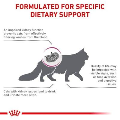 Royal Canin Veterinary Renal Special kattenvoer 4 kg - thumbnail