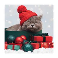 Duni servetten purrfect gifts 33x33cm - thumbnail