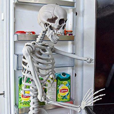 Human Size Skelet 170cm - Levensecht - Buigbaar - ABS - Halloween Decoratie - thumbnail