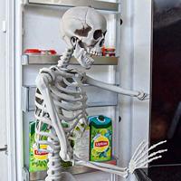 Levensgroot skelet (170 cm) - thumbnail