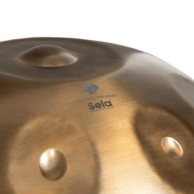 Sela SE 213 Harmony Handpan D Sabye roestvrij staal