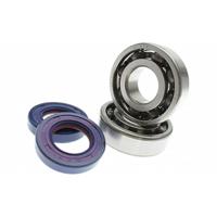 Revisieset Polini Derbi Euro2 Euro3 - thumbnail