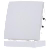 Berker Drukknop 1-voudig s/b polarwitmat 85141188 - thumbnail