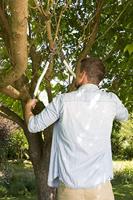 GARDENA 08710-20 Takkenschaar Bypass - thumbnail