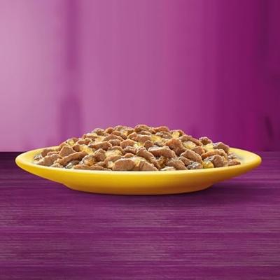 WHISKAS Poultry Feast - nat kattenvoer - 24x85 g