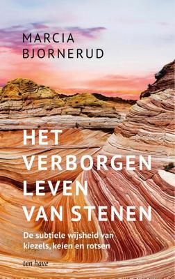 Het verborgen leven van stenen - Marcia Bjornerud - ebook