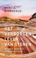 Het verborgen leven van stenen - Marcia Bjornerud - ebook - thumbnail