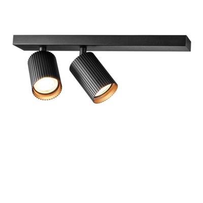 Lyora PlafondspotOnis 2-lichts - zwart - 107099