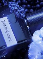 Yves Saint Laurent Y Eau de Parfum Intense 60ml - thumbnail
