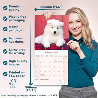 Samojeed Kalender 2026