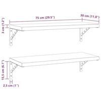 Wandschappen 2 st 75x30 cm roestvrijstaal zilverkleurig - thumbnail