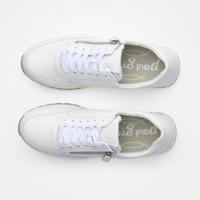 Paul Green 5310 - alle - thumbnail