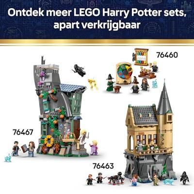 LEGO® HARRY POTTER™ 76464 Kessel: Geheim klaslokaal voor toverdrankjes (76464) LEGO® HARRY POTTER™ 76464 Kessel: Geheim klaslokaal voor toverdrankjes (76464)