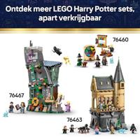 LEGO® HARRY POTTER™ 76464 Kessel: Geheim klaslokaal voor toverdrankjes (76464) - thumbnail