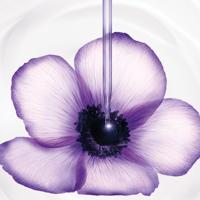 Lancome Renergie Multi-Lift Redefining Lifting Cream SPF15 Dagcrème 50 ml Dames - thumbnail