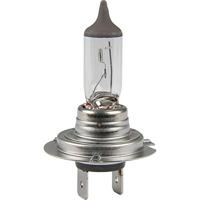 HERTH+BUSS Hoofdlamp "longlife h7-lamp longlife herth & buss - thumbnail
