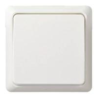 ELSO-toets 502104 10A complete RENOVATIE rw Knop Renovatie Zuiver wit 1 stuk(s) - thumbnail