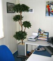 Laurier deluxe x4 kunstboom 180cm - thumbnail