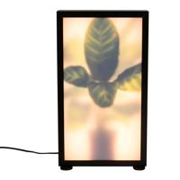 Zuiver Vloerlamp 'Grow' Zebraplant, 50cm - thumbnail