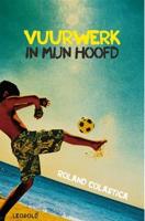 Vuurwerk in mijn hoofd - Roland Colastica - ebook - thumbnail