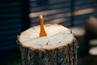 Fiskars 1001614 Splijtkeil 155 mm 700 g - thumbnail