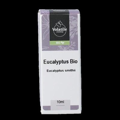 Volatile Eucalyptus smithii bio 10 Milliliter
