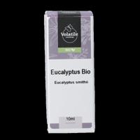 Volatile Eucalyptus smithii bio 10 Milliliter - thumbnail