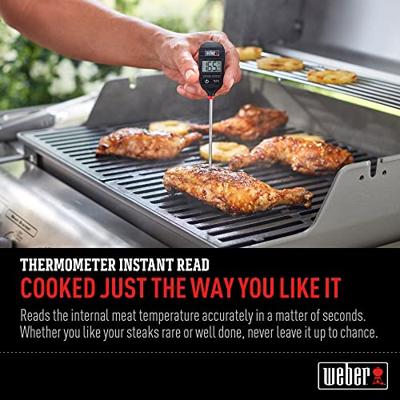 Digitale Thermometer - Weber