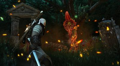 The Witcher 3 Wild Hunt Game of the Year Edition