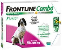 Frontline Combo Spot On hond L /20-40 kg 6 pipetten - thumbnail