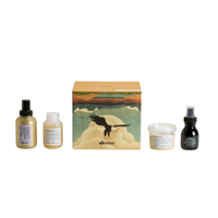 Davines Discovery Kit - thumbnail