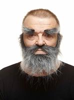 Valse baard My Other Me Grijs - thumbnail