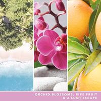 Yankee Candle wild orchid signature large jar - thumbnail